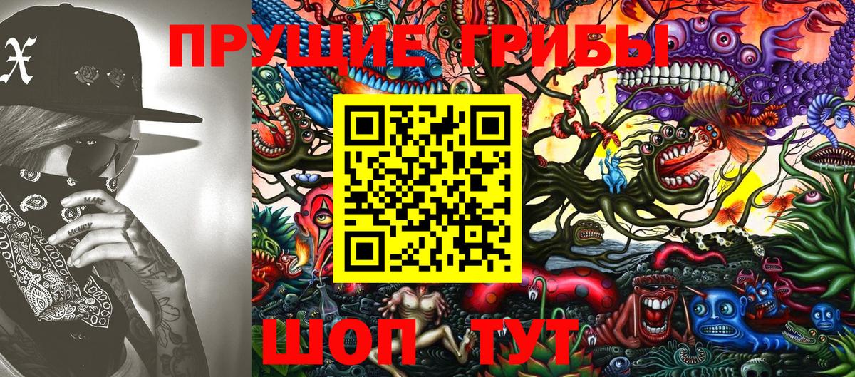 Жуковский  Галлюциногенные грибы мицелий  Вход с VPN 